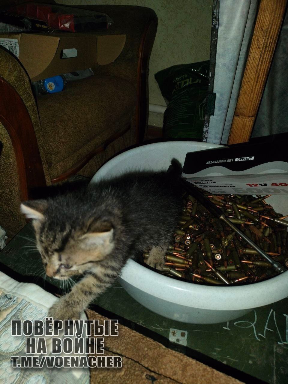 Доброе утро