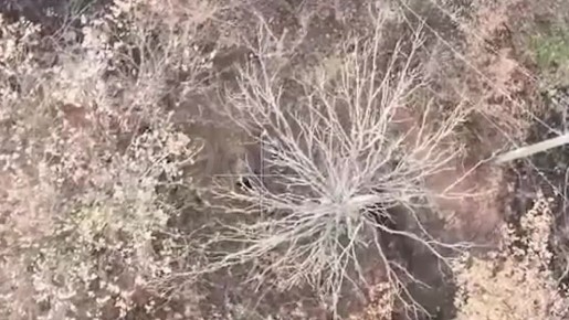 Миномётный расчёт нацистов уничтожен!