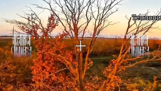 Хватит вам летать.. Тарас все лазит и лазит на дерево, а антенны все разлетаются в клочья и разлетаются