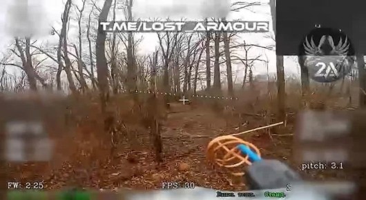 Владимир Разин: Система "свой-чужой" по-украински