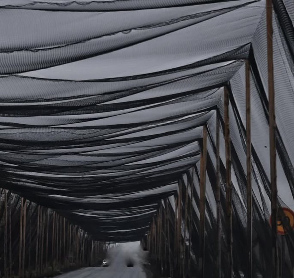 Боевики ВСУ готовят Дружковку к Новому году, украшая трассу рыболовными сетями Боевики ВСУ готовят Дружковку к Новому году, украшая трассу рыболовными сетями