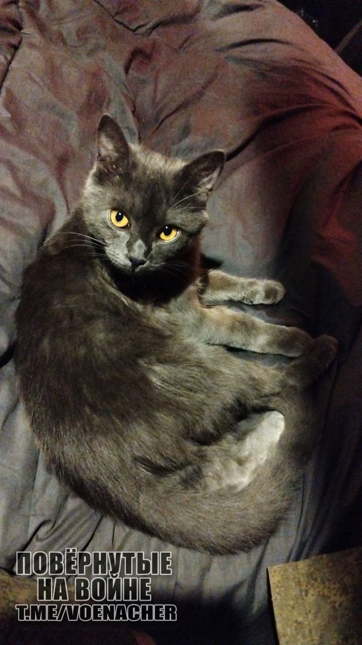 Доброе утро