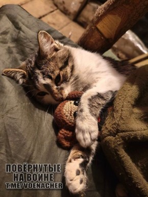 Доброе утро