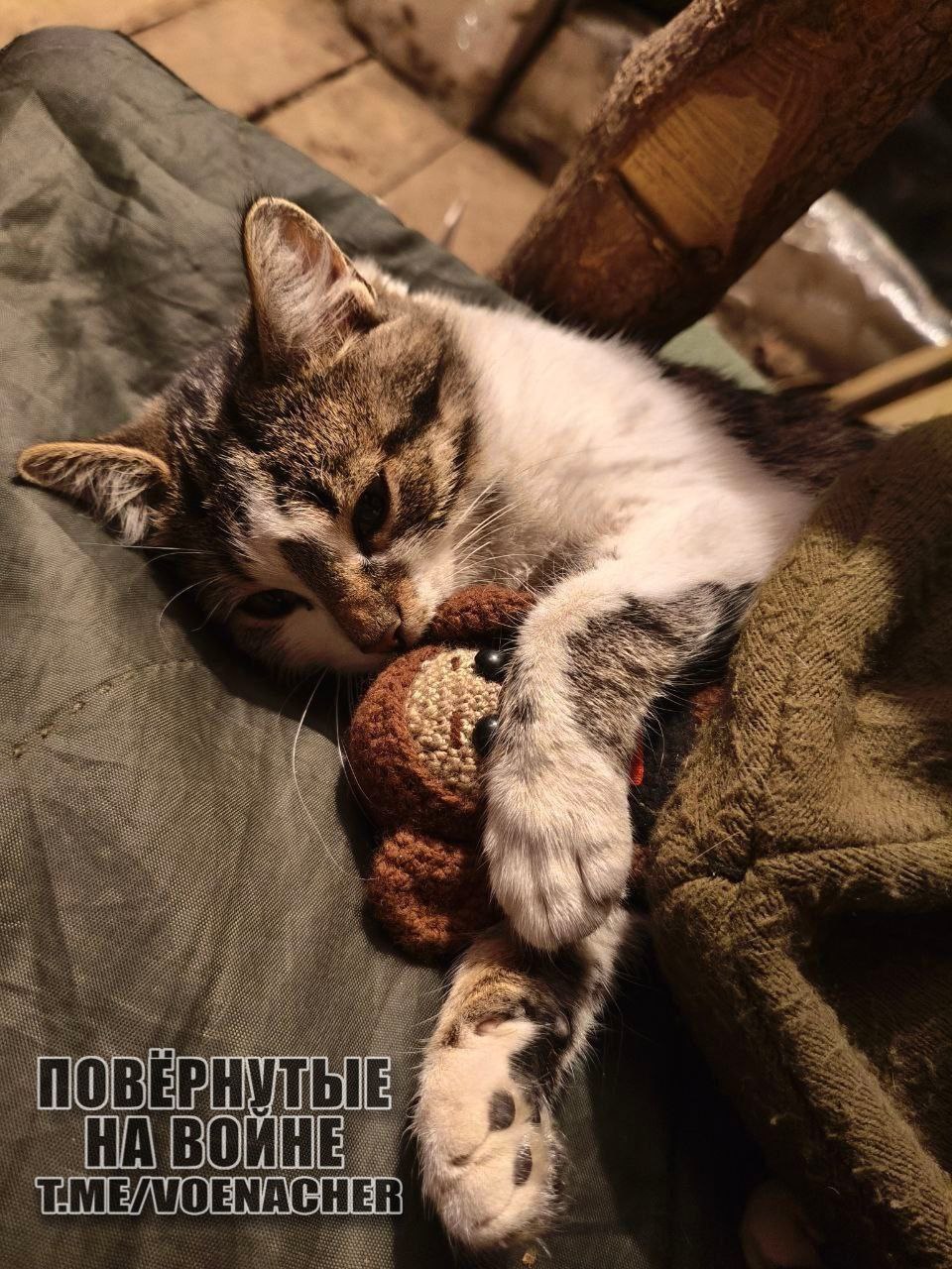 Доброе утро