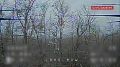 Дроноводы группировки Центр предотвратили перегруппировку боевиков