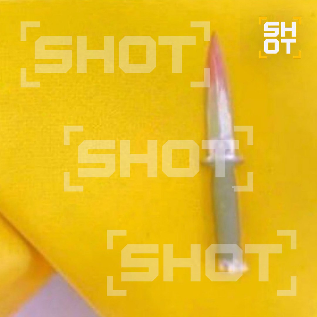 Психопат, устроивший поножовщину, планировал подорвать школу, своё нападение он снимал на камеру Психопат, устроивший поножовщину, планировал подорвать школу, своё нападение он снимал на камеру