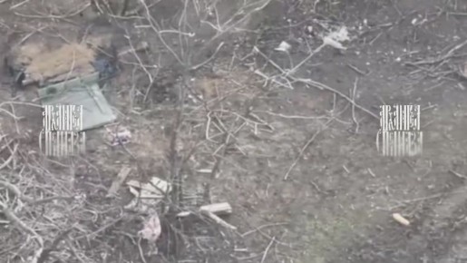 Полеты на сегодня отменяются