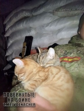 Доброе утро