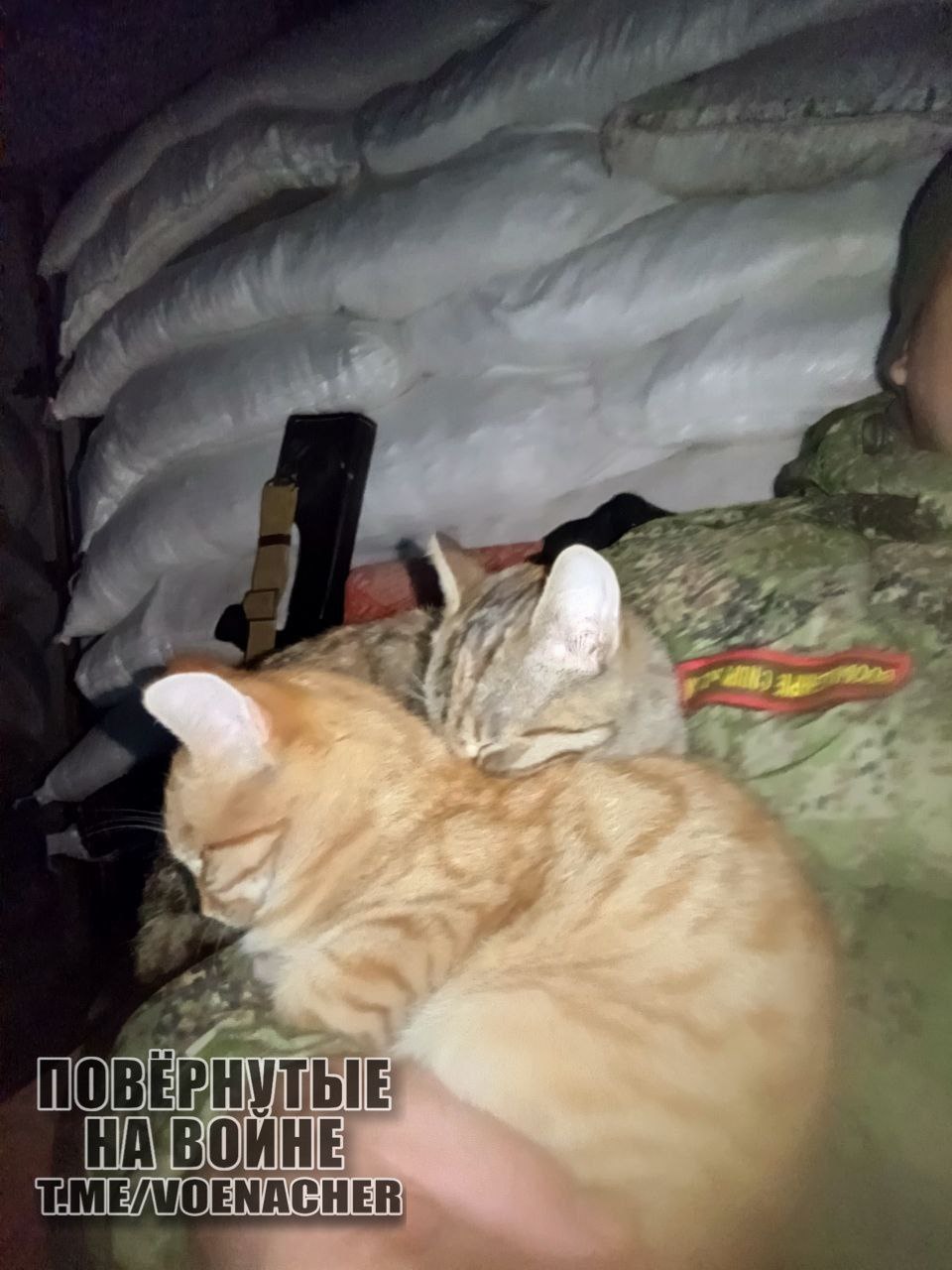 Доброе утро