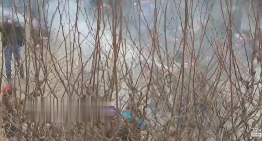 Диана Панченко: Стоило Евросоюзу ввести против меня санкции, как мои братцы-фермеры пошли в атаку на Европарламент