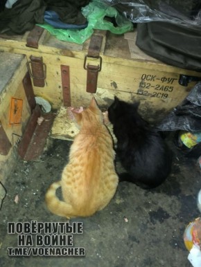 Доброе утро