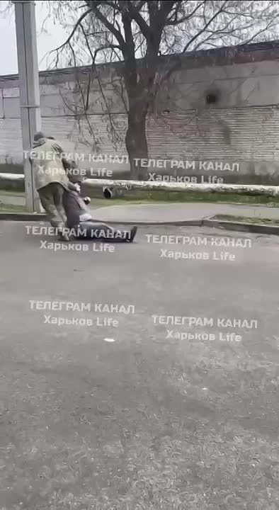 �������� ����� ��������� ������������ � �������� � �������������� ����������� �����������, � ������ �������� ���������, ��� ��������-������� ����������� ������ ��� ����