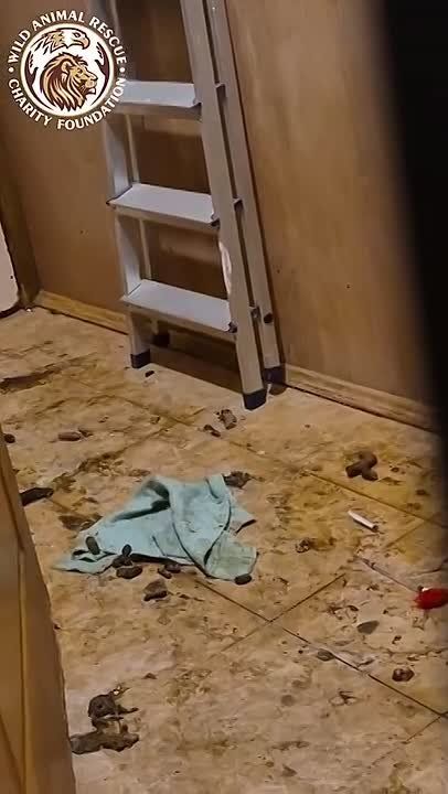 ��������� ������ ����� � �������� �� �������