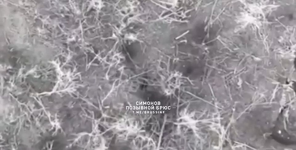 �������� ����������� ����� ��������� �������� ������� ��� � ���� ���� ���������� ������� � ����