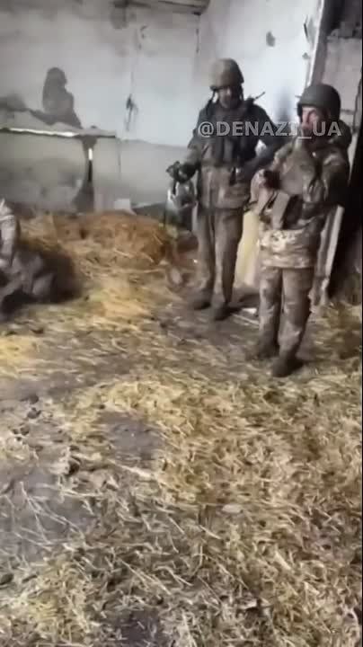 "��� ��*���� � ���� �������"