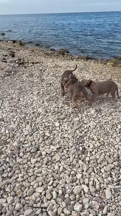 ������ ���������� � ����� � ��������