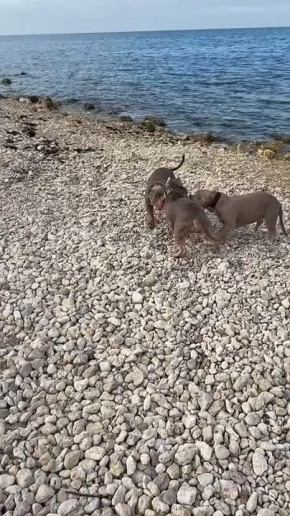 Джокер встретился с мамой и сестрами