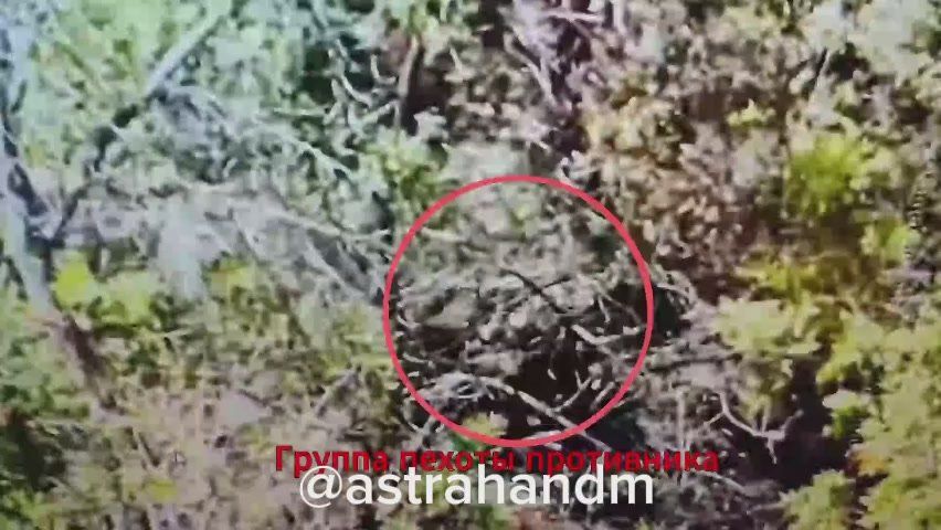 ������� ���������: ����� 57 ����� ������ ������� ��� � ������ ������������