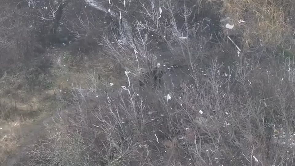 ���������� �������� ���� ���������� � ����������� ������� ������� ��� ���� ������ ������������ � ��������� ����������� ����� ���������� ���������� ������