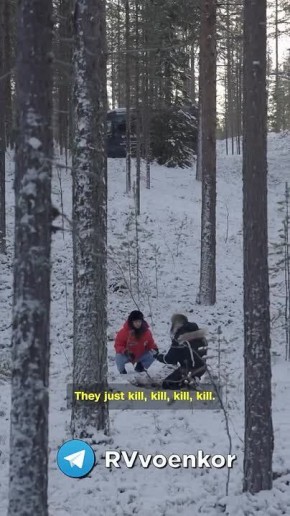 "�������" �����-������ ������������� ���������