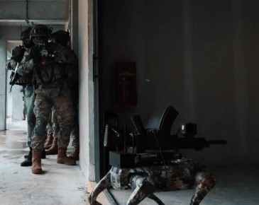 ������� ���������: ���������� ������ ����� � ���������