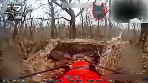 �������� �����: ����������� ���������� ������ �� ��������� �����������