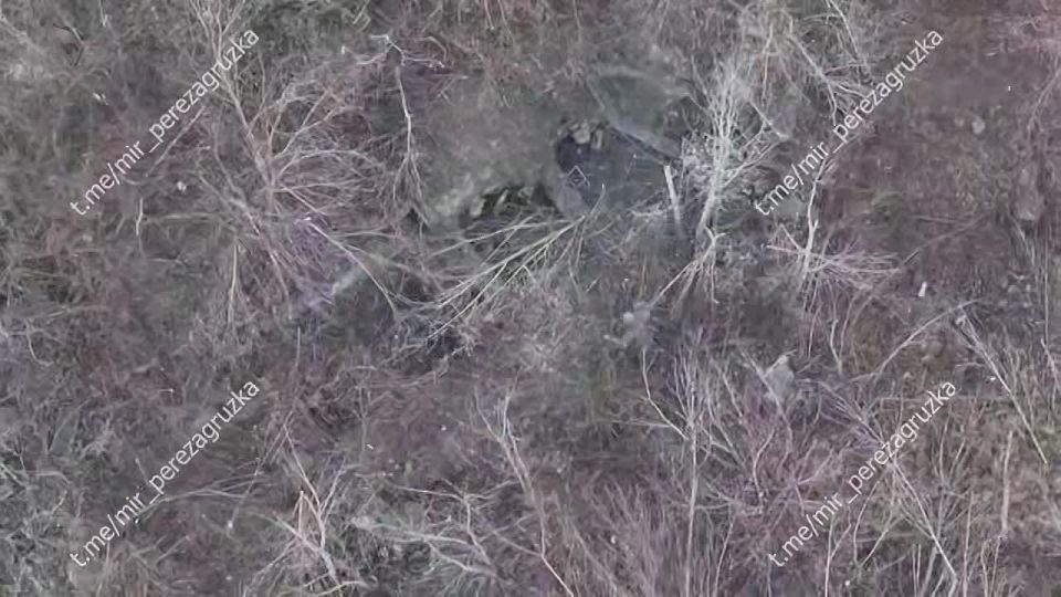 ����� � ���������: ��� ����� ��� ���������� ���������� � �����