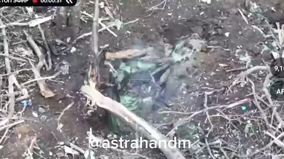 ������� ���������: 57 ��� ��������� ������� ��� � ������ ���������