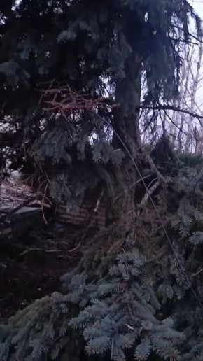 ��������, ������, ������� � ���� ������ ������ ������ �� ���������� ���������� � ��������������/��������� � ������ ������� ��������