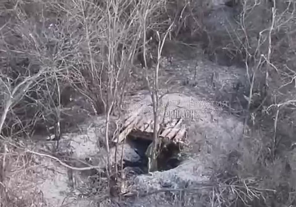 ���������� ��������� �������� ��������������� ���� � ������� ��� � ���� ����������� ��� ����