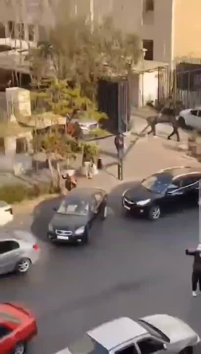 ������� ����� �� ������ ������ ��� �������������� �������� ������� � ������ �����