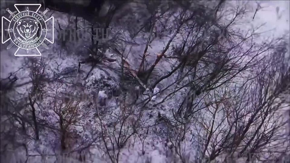 �������� �����: ����� ������ ����������� �������� ������ �������� ����������� ������� �������