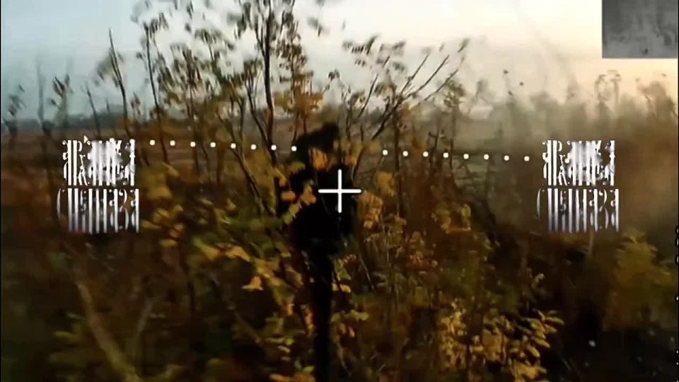 ������� �������.. ����������, ���-�� �� ��������, �����, ���� �� �������� �������, ����� ��� �� ��������� � �����. � � ����� �� ����� - �������� �����������