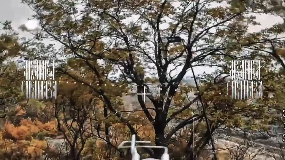 ���� ���� �������� ��������