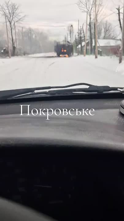 ������ �������: ��������� ����������� ����� "������" �� �� ���������� ���������� ��������������� ATF Dingo ��������� ������������ � �.�. ���������� ���������������� �������