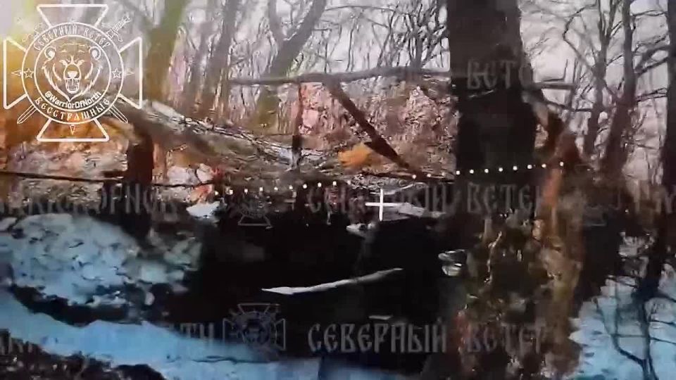 �������� �����: ��������������� ������ fpv ������� � ����������� �������