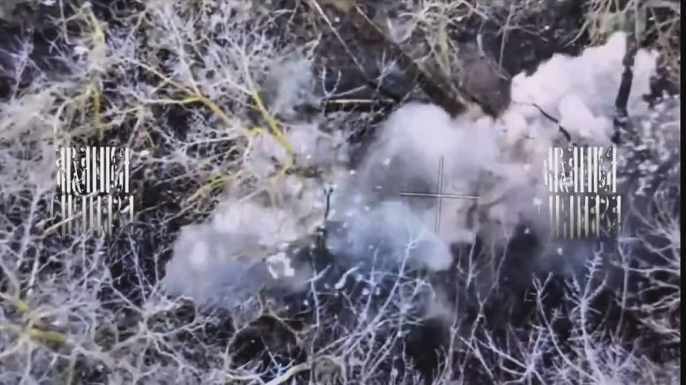 ����� ������������.. ������� ������� ���������� ���������� ������ ����������. �� ���� ��� �������� �������� �������, � ��� ��� �������� � ���� �����. ��������� ���� ������� ��� ����