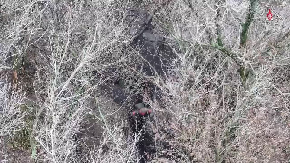 ���������� ������: �������������� ��������� ������������� ����������� ����� ������ ��������� � ����� ������ ������� �� ���������������� �����������