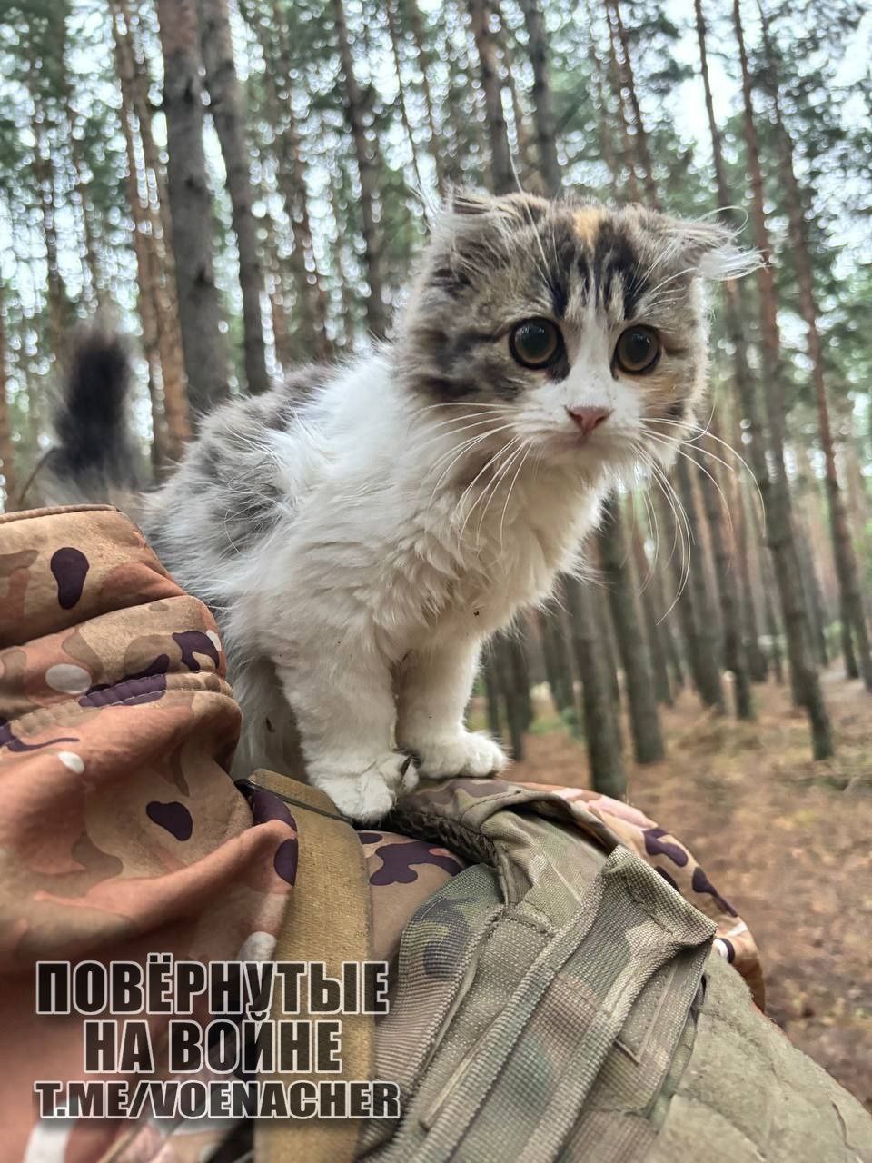 Доброе утро