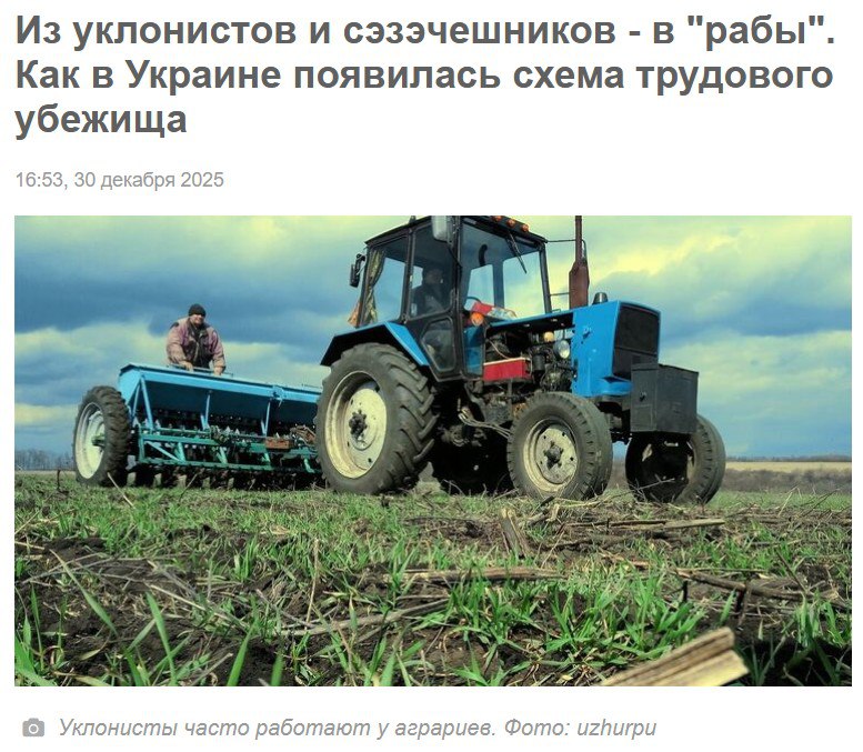 Трудовые лагеря по-украински: Бизнес эксплуатирует уклонистов, в то время как власти закрывают глаза