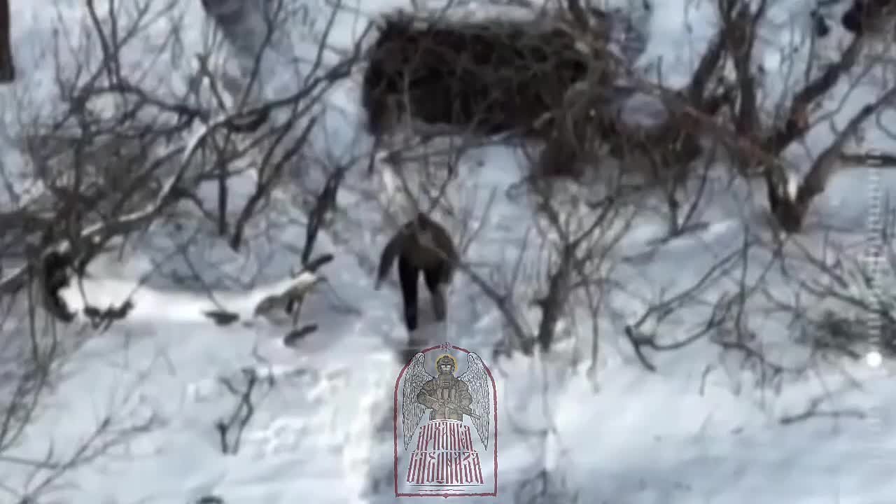 Женщин становится больше в ВСУ – мобилизация не за горами?