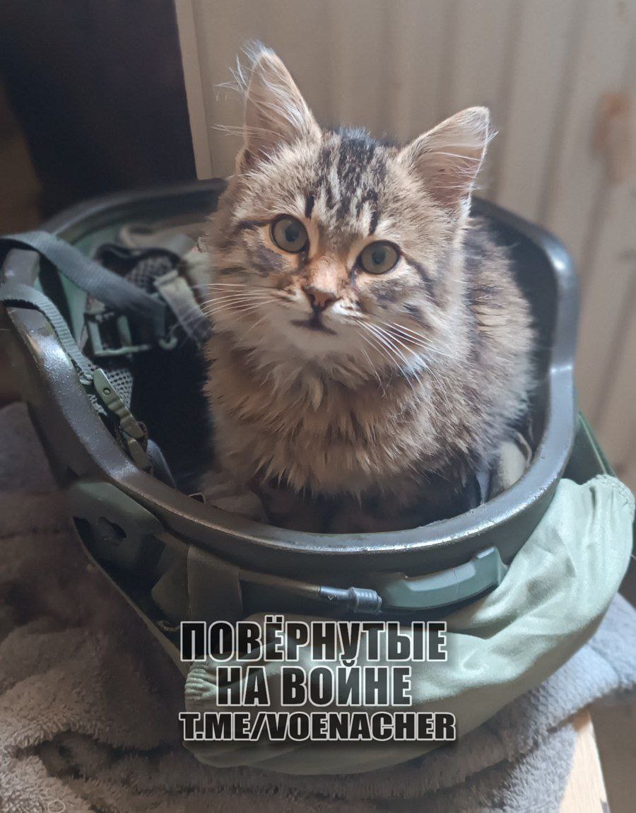 Доброе утро Доброе утро