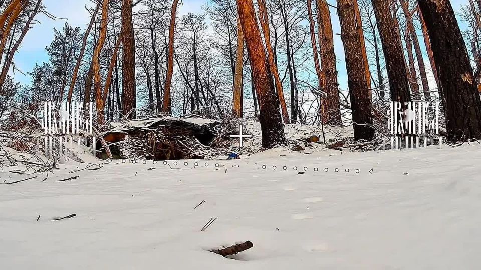 � ��� ��� ����� ����?. ������������ �� ���� ���������� ������ ���� �������� �������� ����� ������� ��������