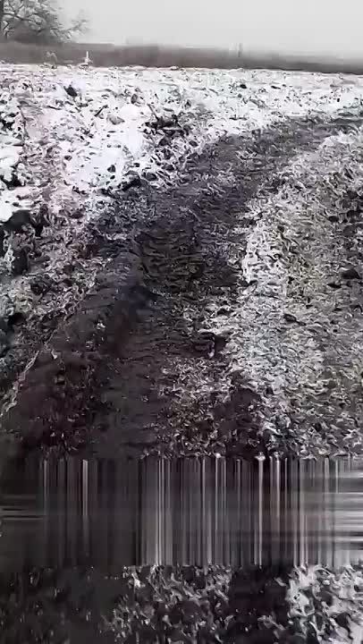 ������ �������: ������������ � ������ �������������� ������� ������� �������� ��������� ������