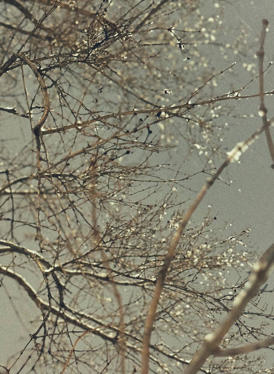 Анна Долгарева: Между тем, вчера ходила на спектакль «Женщины» во Дворце Железнодорожников и в консерваторию с дорогим братцем писателем Штапичем и евонным семейством Анна Долгарева: Между тем, вчера ходила на спектакль «Женщины» во Дворце Железнодорожников и в консерваторию с дорогим братцем писателем Штапичем и евонным семейством