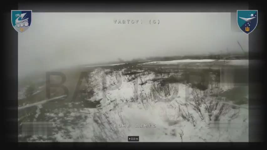 ������ �������: ������� ���������. � ��� ��������: