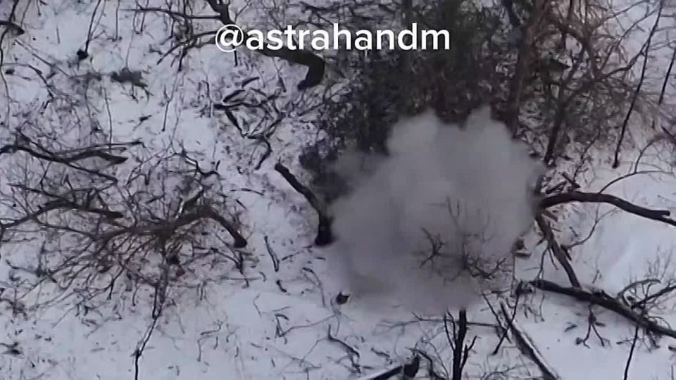 ������� ���������: 255 ��� ������ ������� ��� � ������ ��������