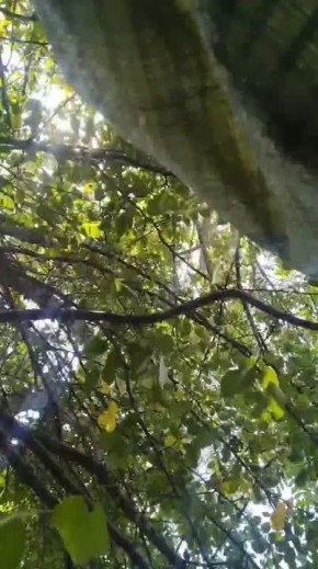 Чингис Дамбиев: Архивный бой штурмовиков 5 отдельной гвардейской танковой бригады из Бурятии после форсирования реки Мокрые Ялы