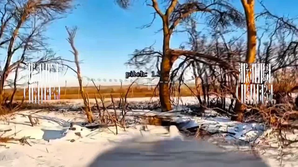 ������ ������ �� �����.. ��� �� ������ ������ �������� ��������� � ������ ������� ����� ��� �����, �� � �� �� ������������ � �� ��� ������� �������