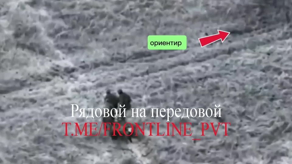 #������������_����� #��������_3_��_���